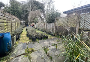 Photo 3- click for photo gallery